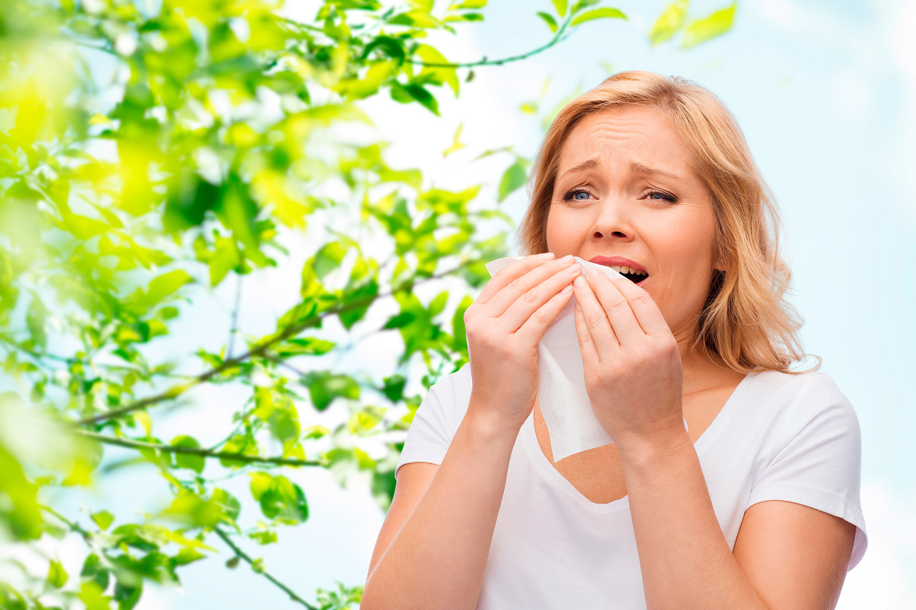 Alergias de primavera: Síntomas y tratamiento