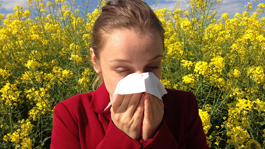 Guerra al polen: consejos para combatir su alergia