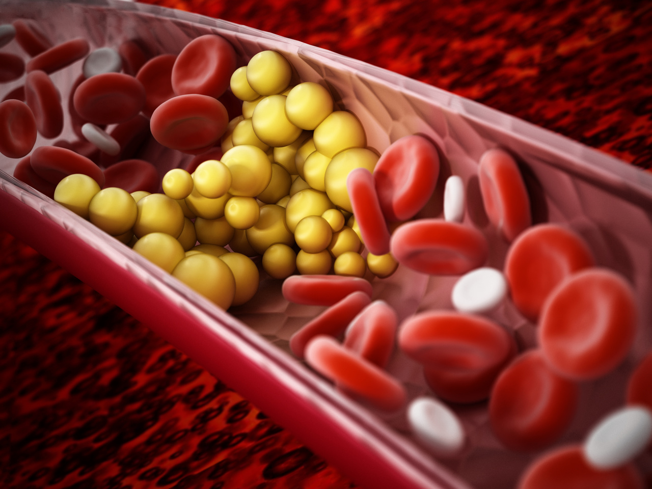 La mitad de la población adulta padece ya hipercolesterolemia: Colesterol I