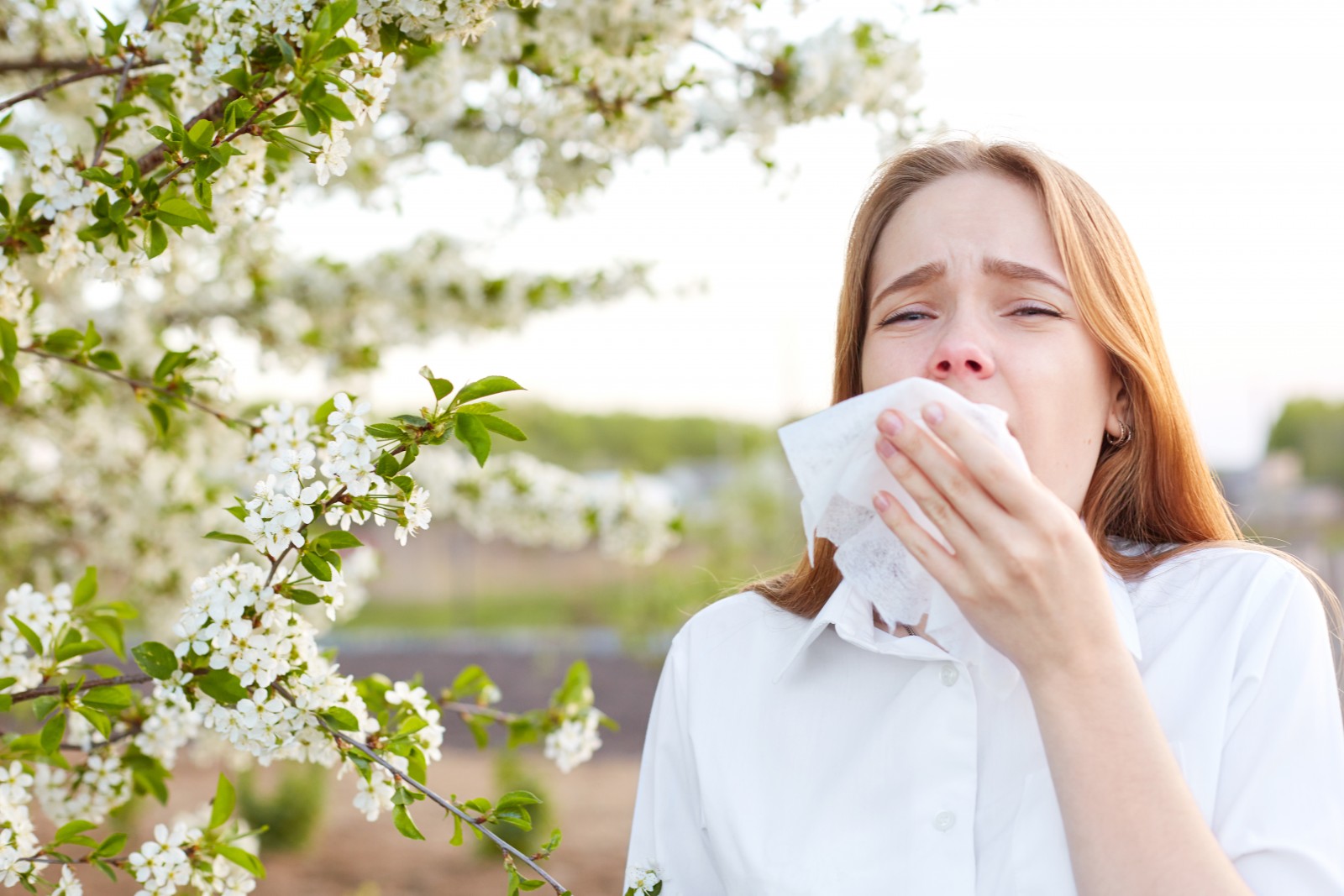 Primavera  atípica: consejos para sobrellevar el polen este año