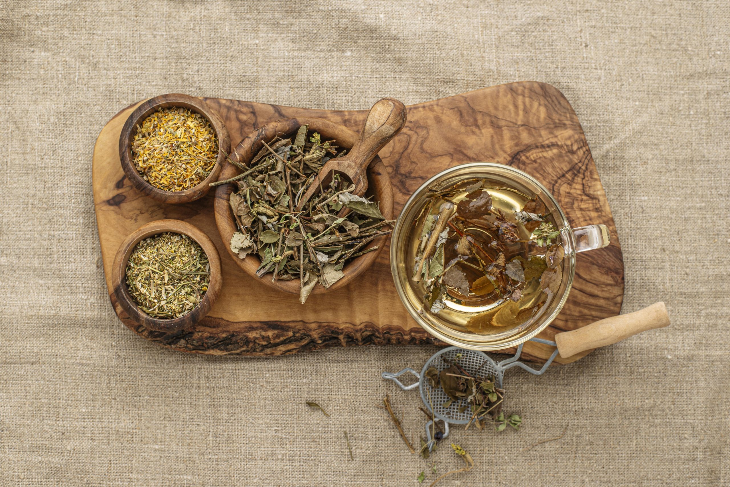 Surtido de plantas secas dispuestas en un plano laico junto a una taza de té, ilustrando la variedad y el uso de hierbas medicinales en la fitoterapia
