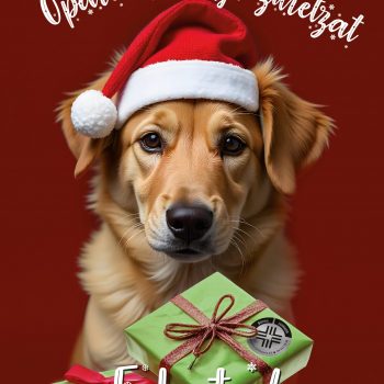 Cartel- Ventana-Navidad-2025-f-rojo_Mesa de trabajo 1