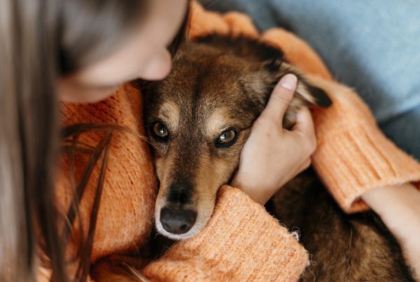 Mujer abrazando a su mascota enferma