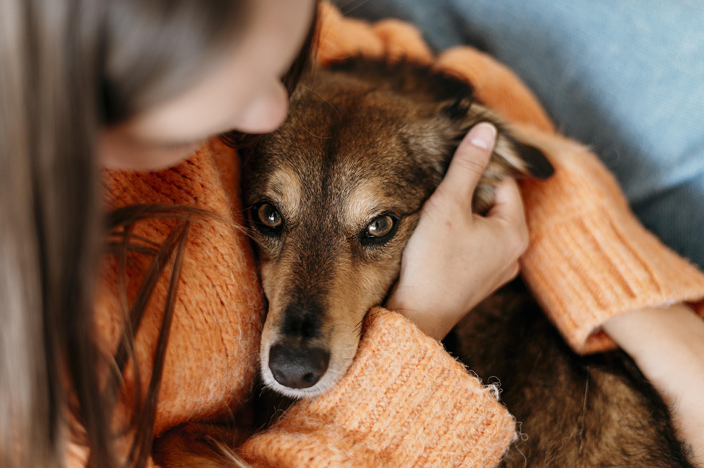 Con el frio y la humedad los animales sufren afecciones en la piel, articulaciones y sistema respiratorio