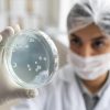Cientifica examina una muestra biológica en un laboratorio