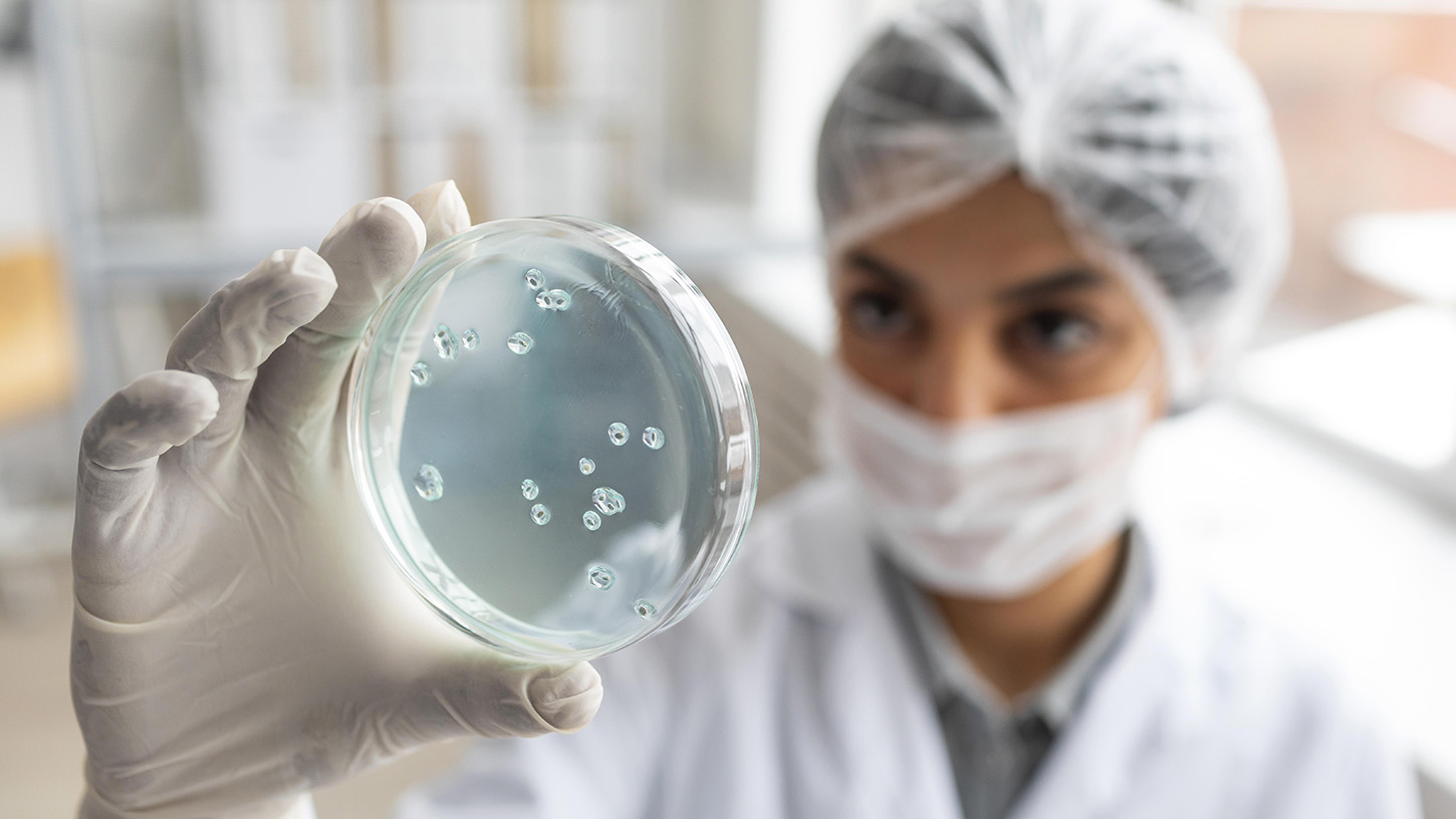 Bilbao reunirá  28 al 30 de mayo en el Euskalduna  a los principales expertos españoles en microbiología clínica