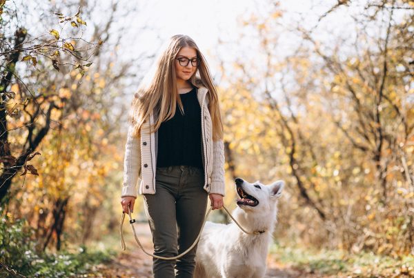 Mujer paseando al perro en un paisaje otoñal